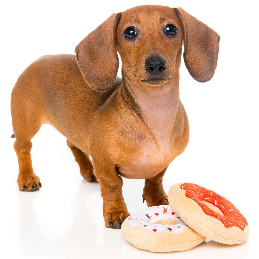 FuzzYard X'mas Donuts Plush Dog Toy (2pcs)